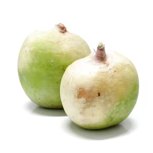 Reďkovka water melon, I.Tr