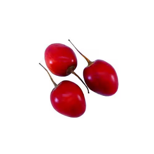 Tamarilo